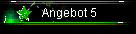 Angebot 5